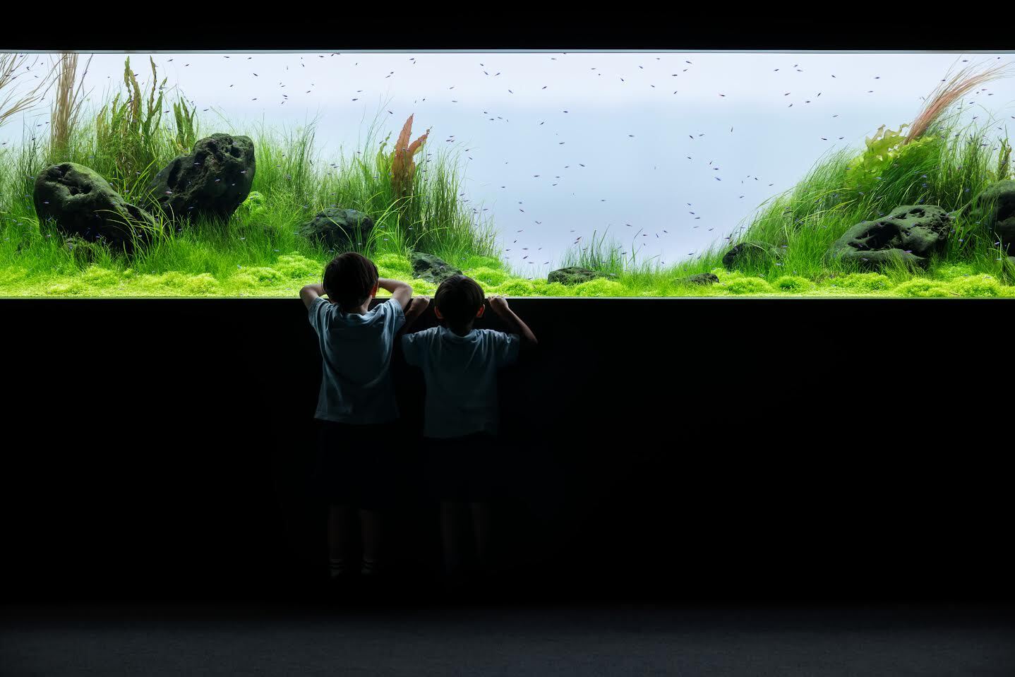 ADA水景クリエイター《風薫る石景》2023©Nacása & Partners Inc.