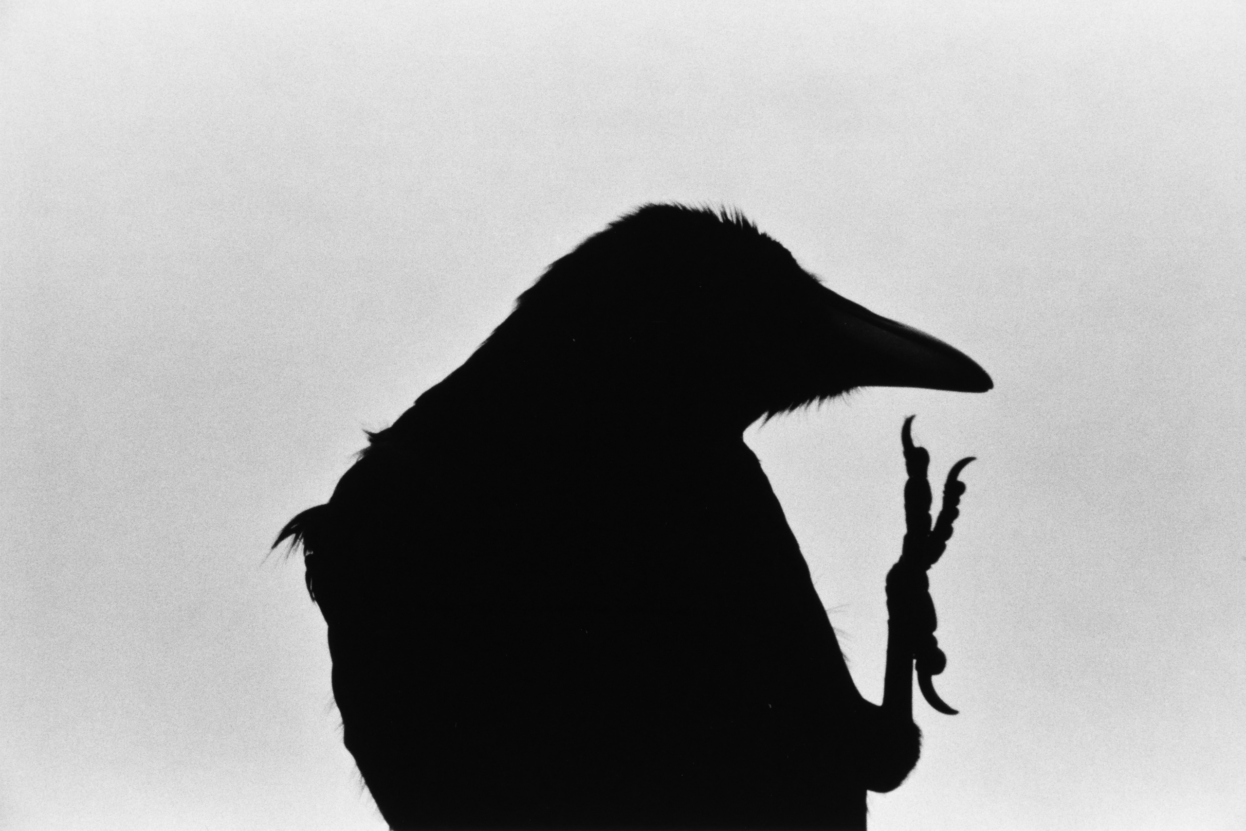Masahisa Fukase