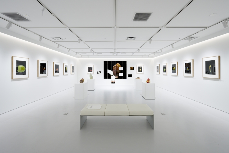YUGEN Gallery