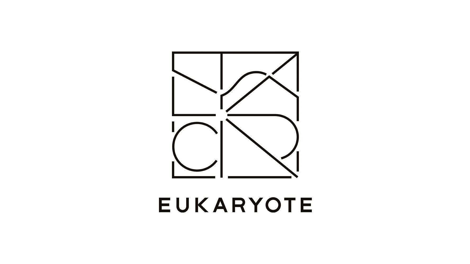 EUKARYOTE