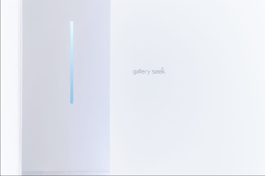 Gallery Seek