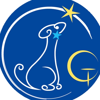 Gomeisa GALLERY