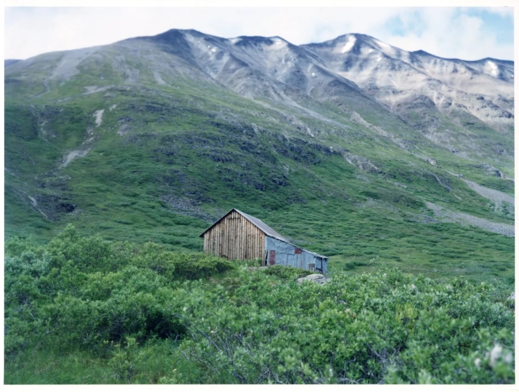 Gold Rush Alaska