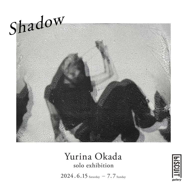 岡田佑里奈 個展「Shadow」