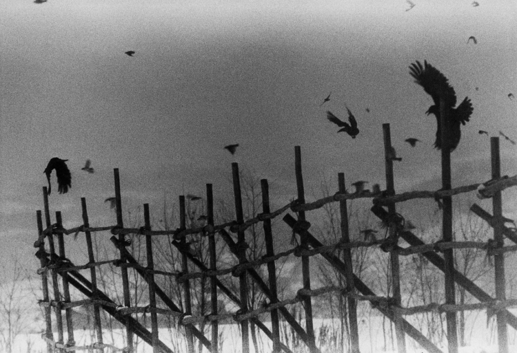 Nayoro 505 × 405 mm, Gelatin silver print Printed by Masato Seto, 1977 printed in 1985
