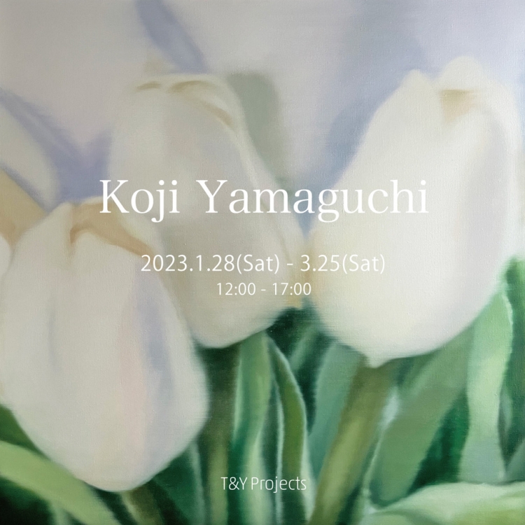 T&Y Projects Collection VOL.5 | Koji Yamaguchi