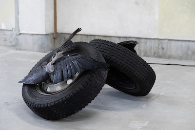 Artist：Hanna Antonsson Title: Auto wing XI