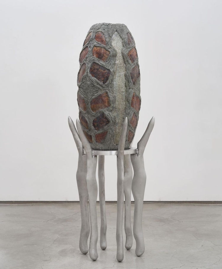 Artist：Lee Hyunwoo Title: Carapaciorum Membrana