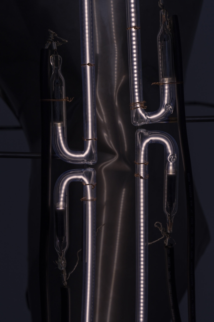 Waku Fukui.「像」形光. 2025. 10mm glass tubes, krypton gas, stainless steel, rubber sheet, wood. 1750 × 1100 × 600 mm.