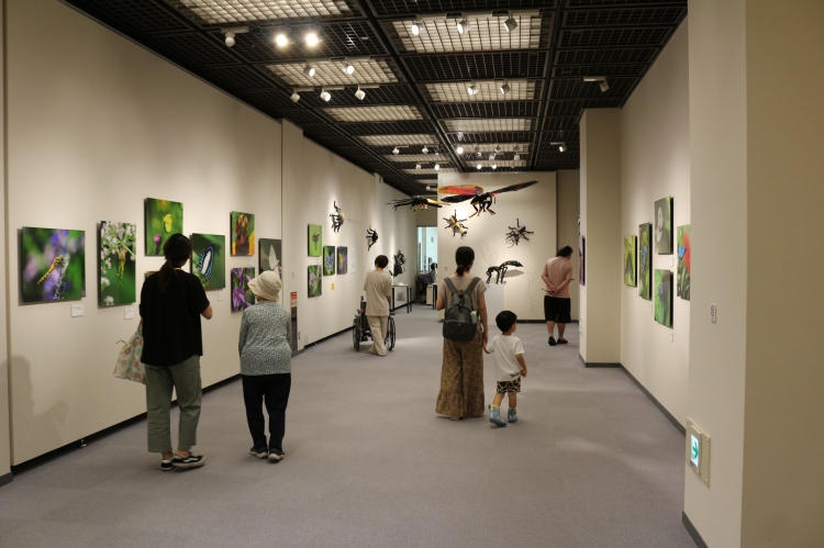 調布市文化会館たづくり展示室