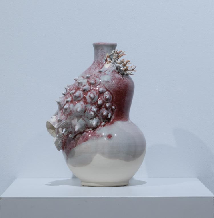 ホヤ／壷　Sea squirt / Pot