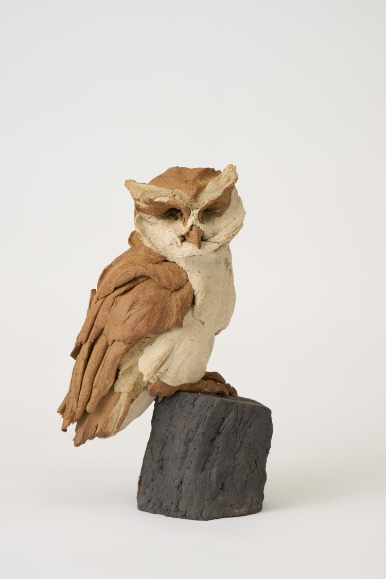 Small Owl I