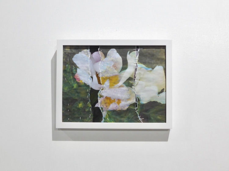flowers 6