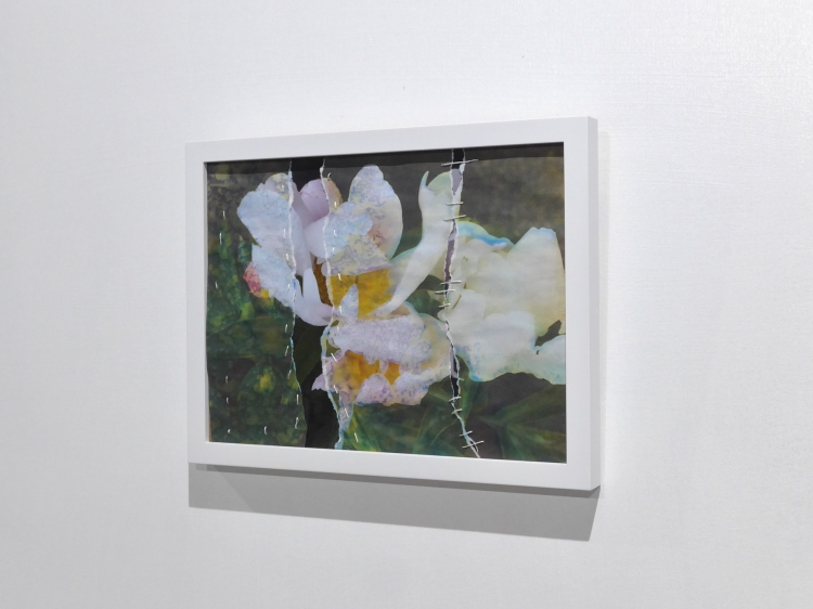 flowers 6