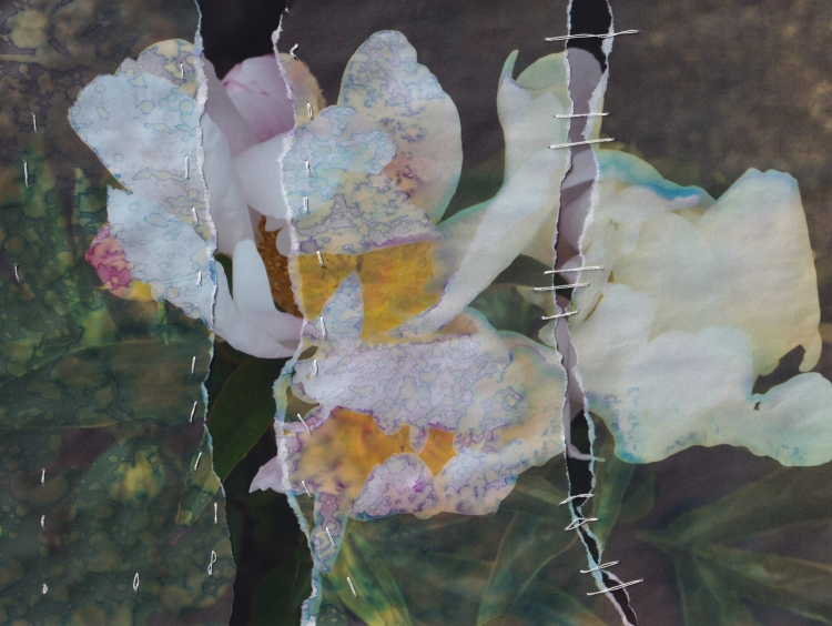 flowers 6