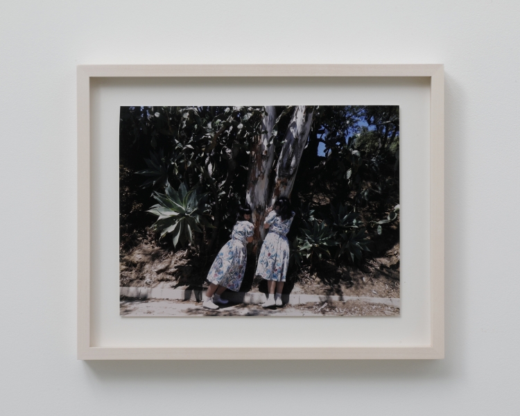 listening to tree/LA/2015