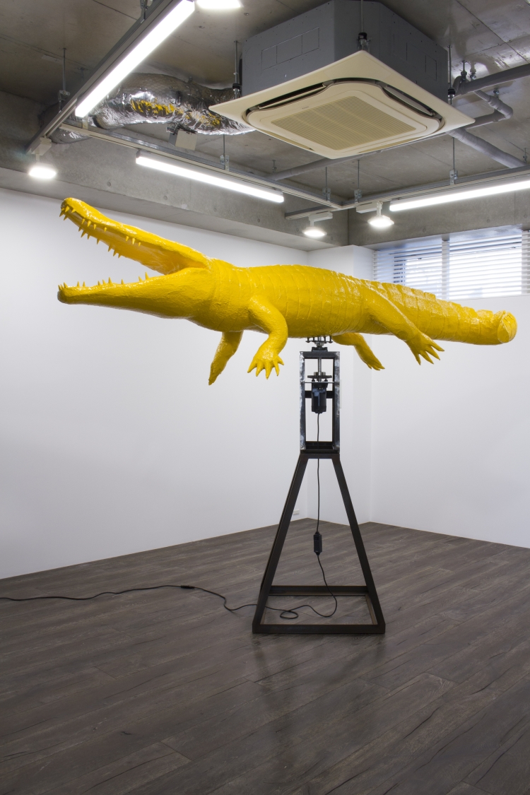 Spin Crocodile IX
