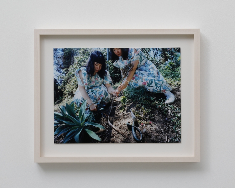 planting/LA/2015