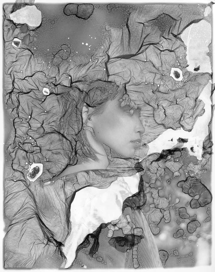 Veils#12  龍の樹の下 No.1