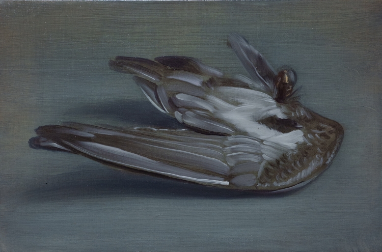 one wing