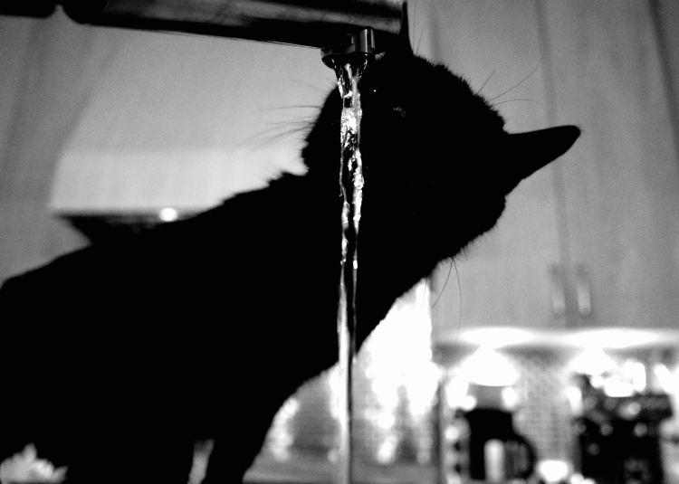 eye in the dark