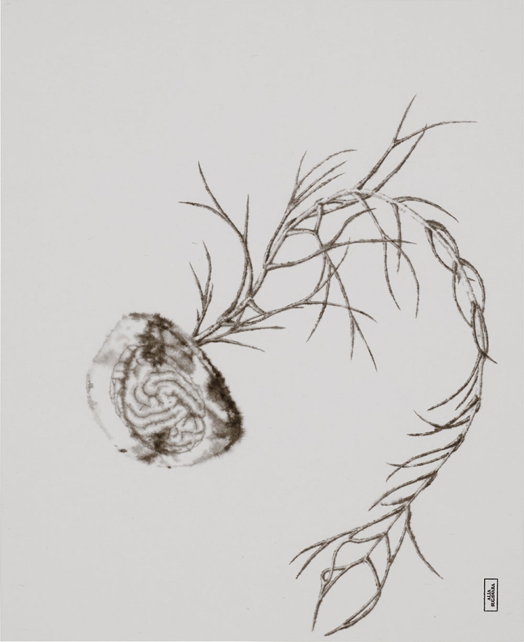 2.