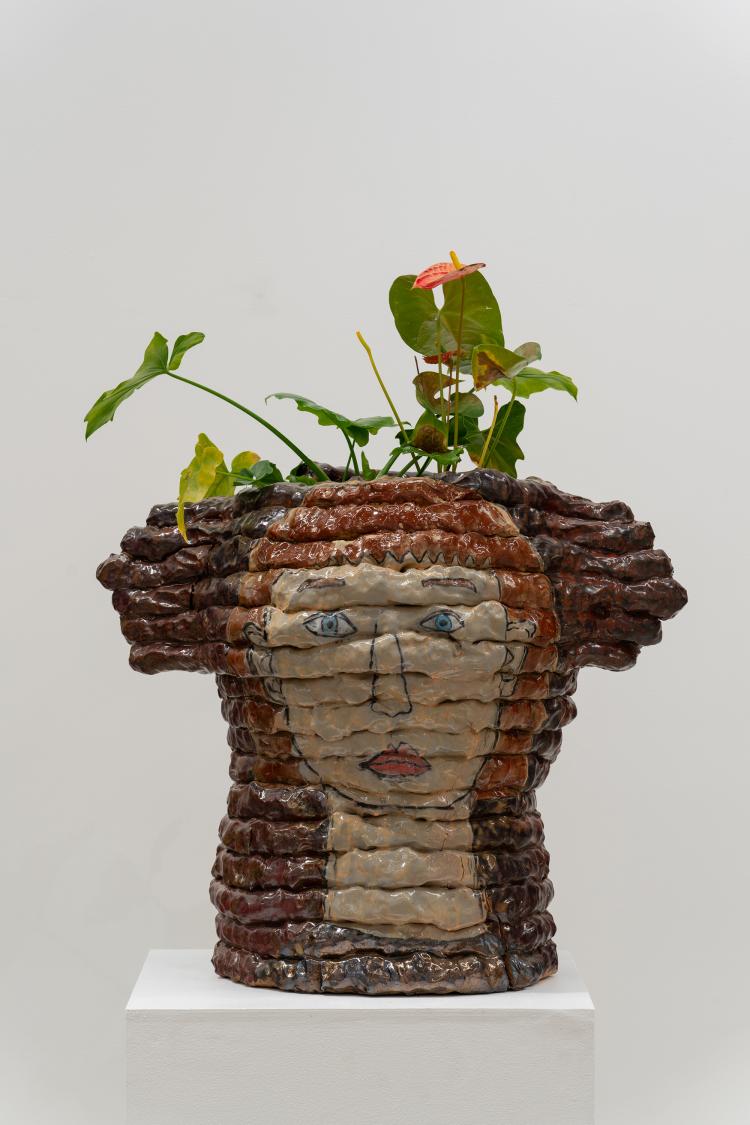 Plant-Human