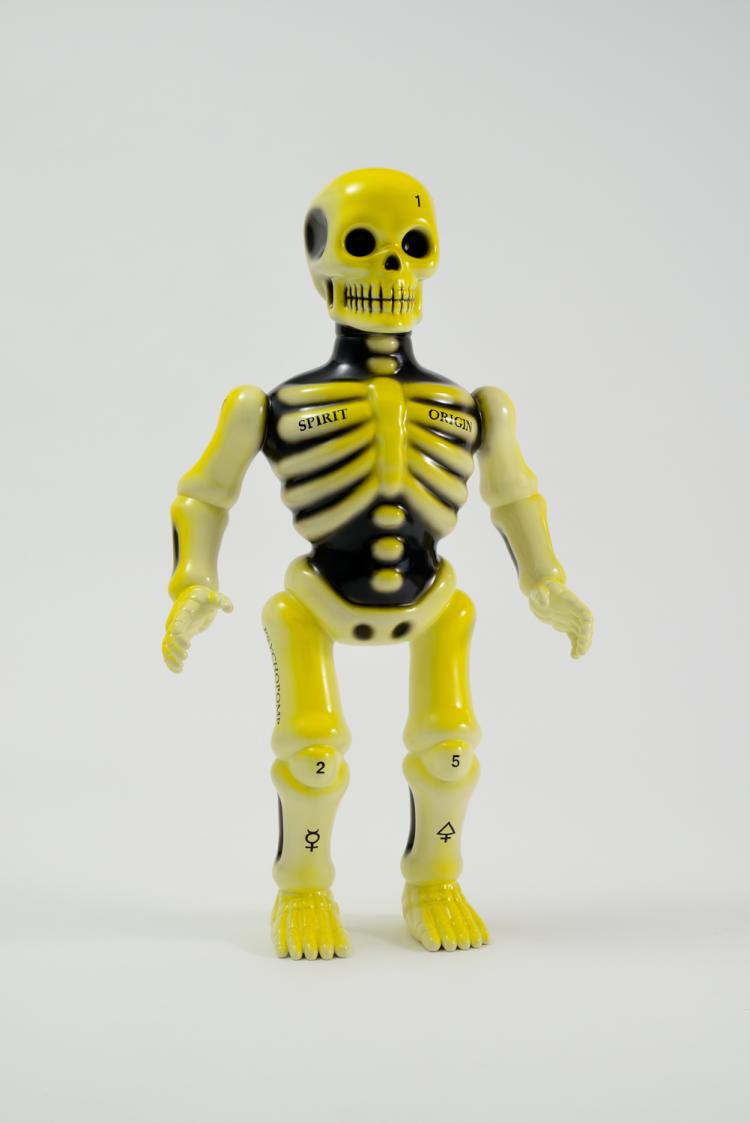 Skeleton