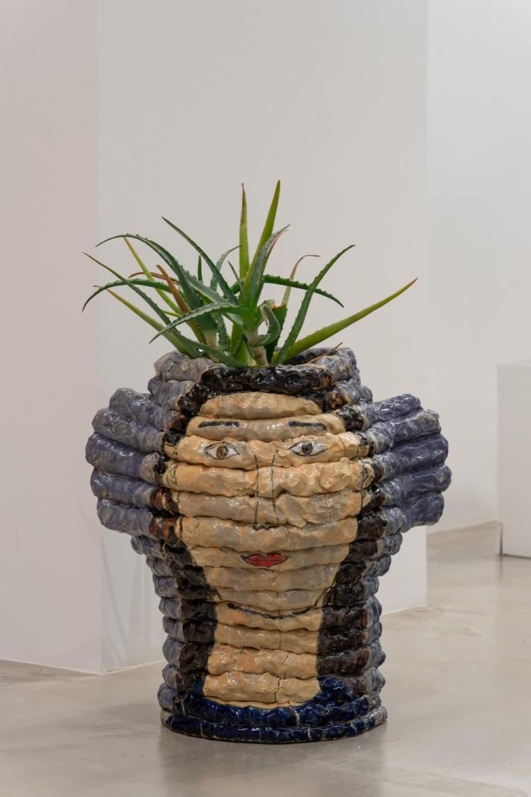 Plant-Human