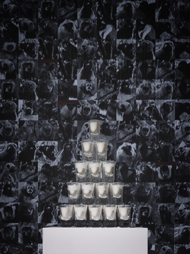 Last Milk