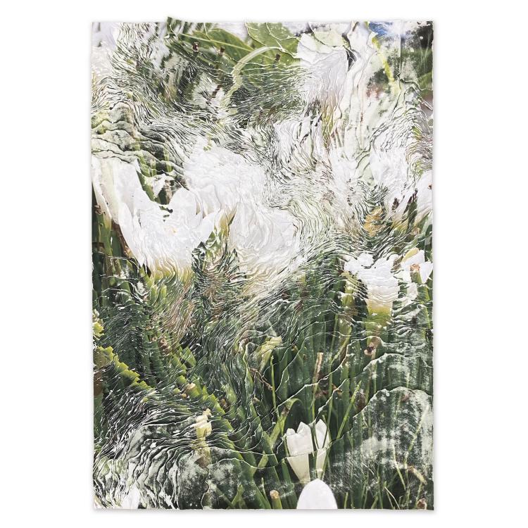Zwphyranthes candida No.002