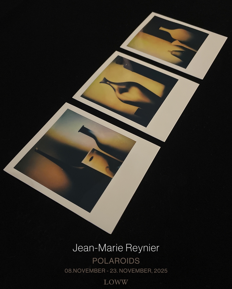 Jean-Marie Reynier / POLAROIDS