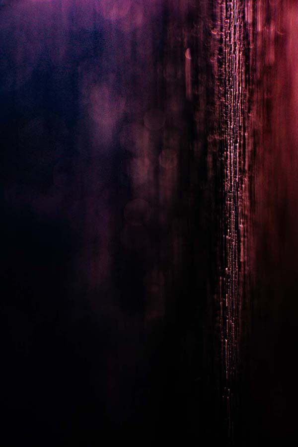 武田陽介 個展 「Singinʼ in the Rain」