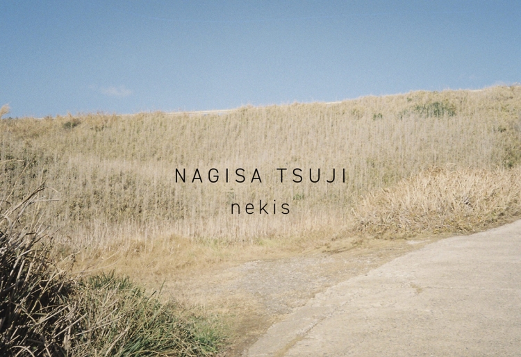 Nagisa Tsuji|nekis