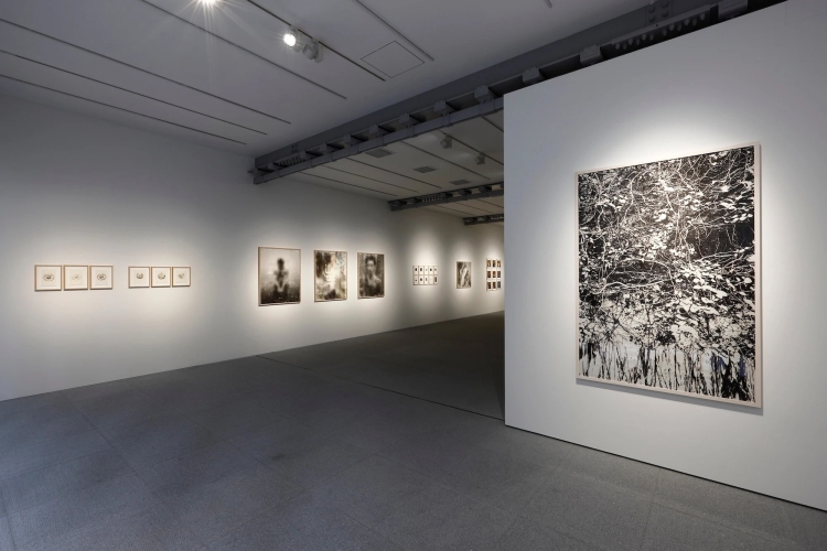 市川孝典 個展「DELUSIONAL murmur (#003)」