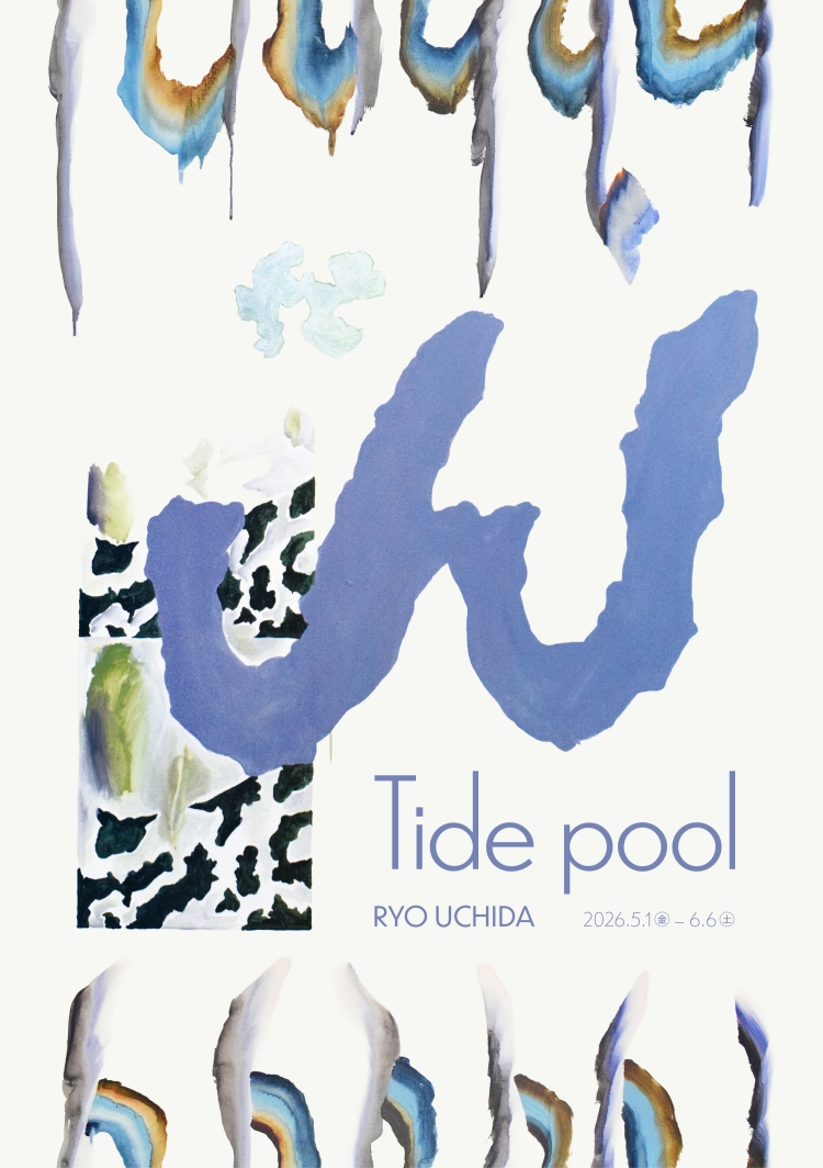 Tide Pool