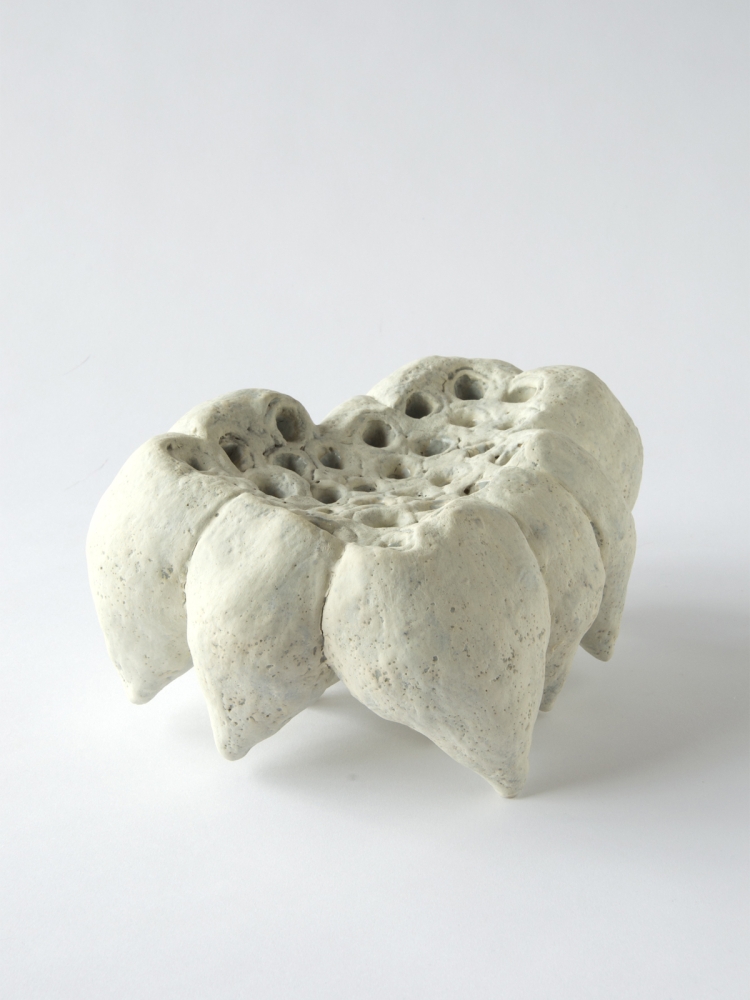 中井川由季　「小さな穴があく・白い花 12」　2025　陶 Ceramics　10.5×21.5×20.0cm